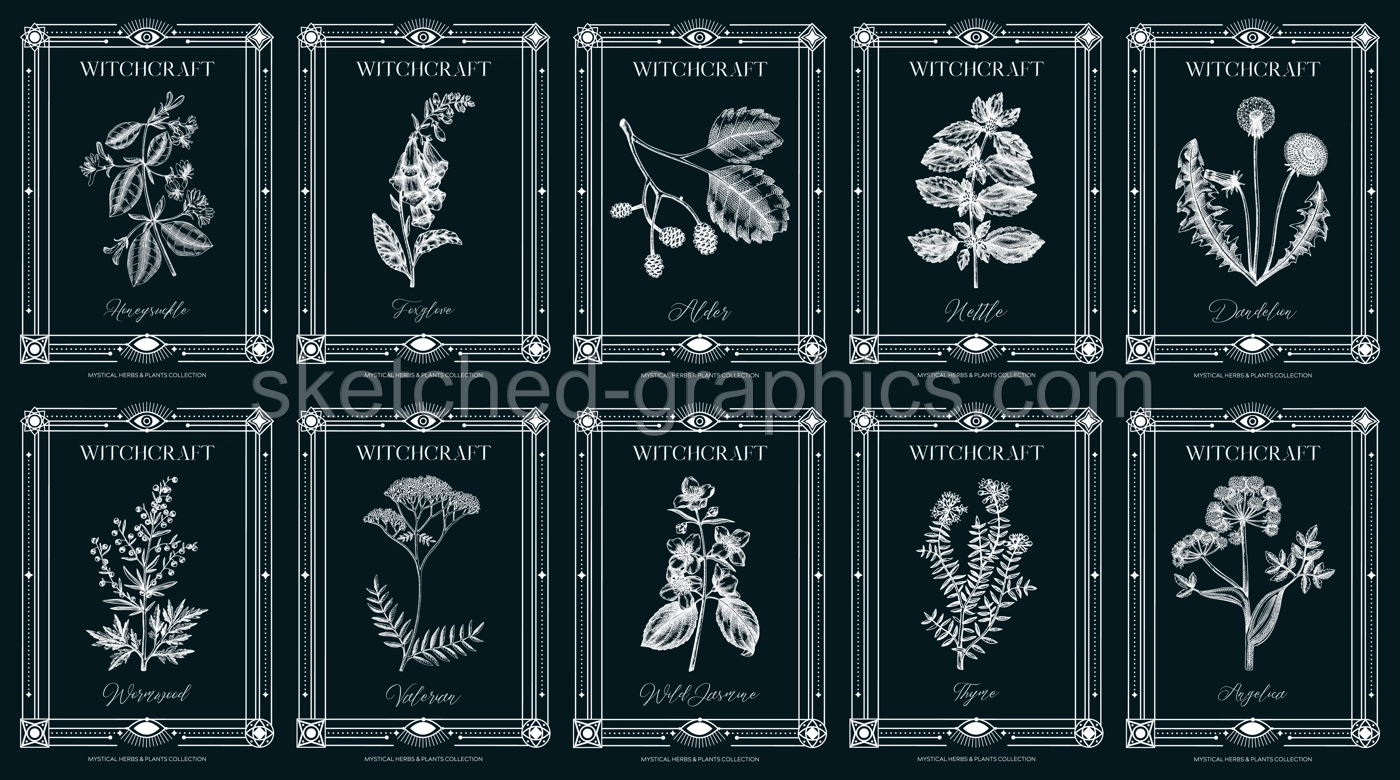 Art deco apothecary labels set. Witchcraft, healing herbs, mystical plants sketches. Vintage frame design templates. NOT AI generated Illustration